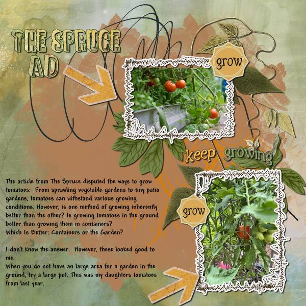 The Spruce Ad