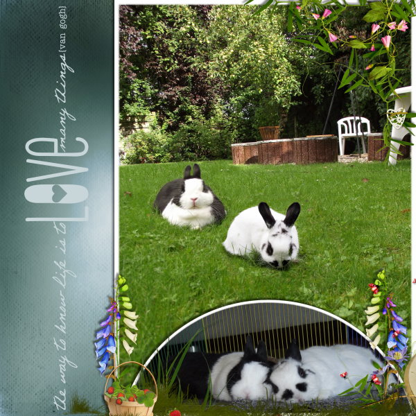 The way to know life is to love many things (van gogh)