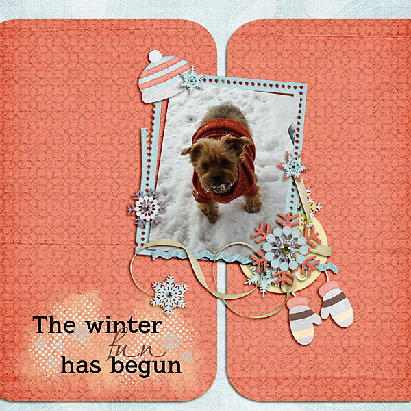 The Winter Fun Has Begun