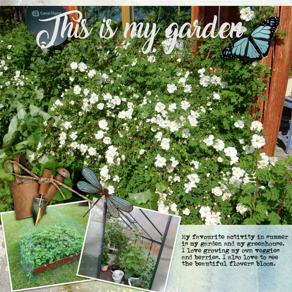 This-is-my-garden.jpg