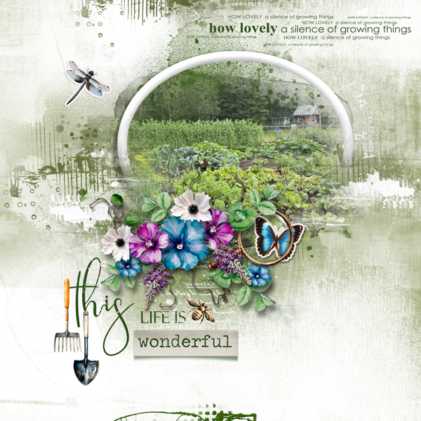 This Life is Wonderful