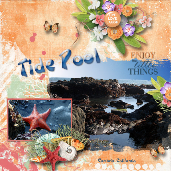 Tidepool