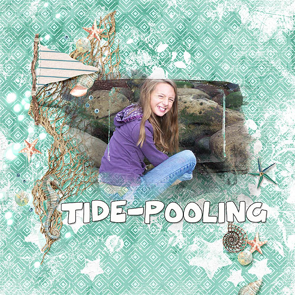 Tidepooling