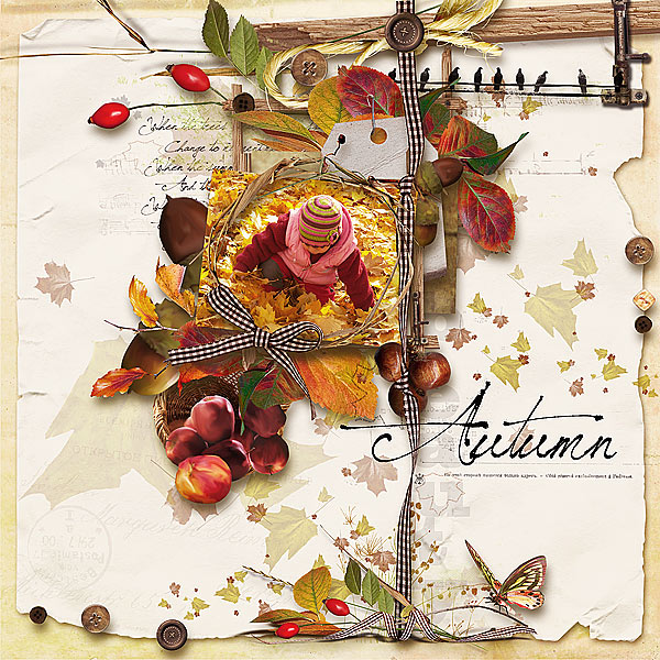 Tiramisu design "Quiet Breath Of Autumn"
