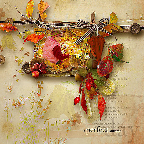 Tiramisu design "Quiet Breath Of Autumn"