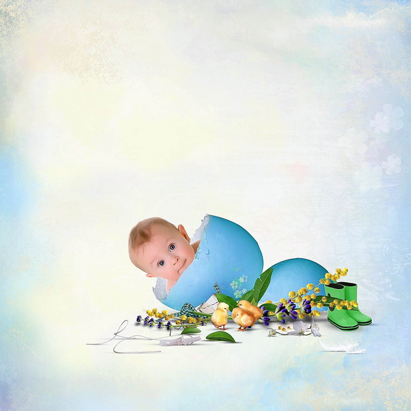 Tiramisu design "Sunny Mood"