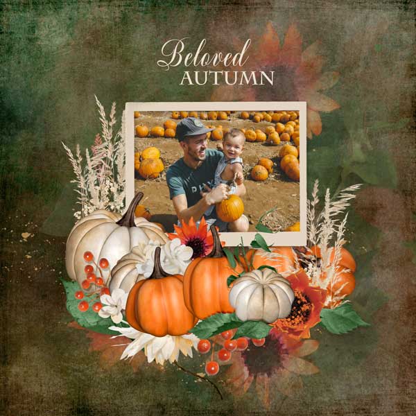 touch-of-autumn-ditab.jpg