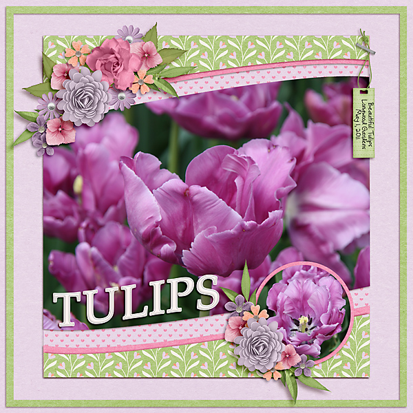 Tulips-copy.jpg