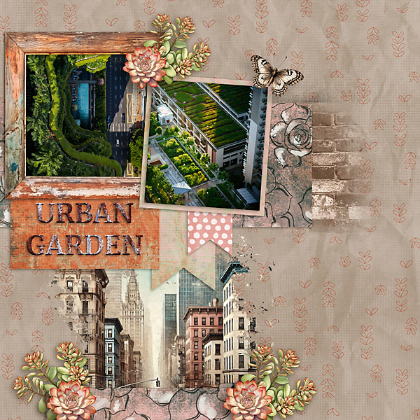 Urban-Garden-Layout-web.jpg