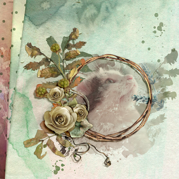 Use It All Challenge Jan 2019