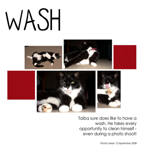 Wash