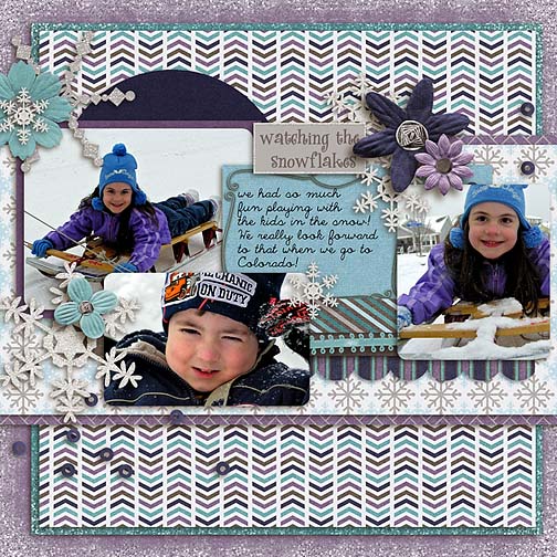 Watching the Snowflakes