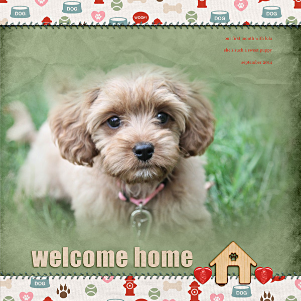 Welcome Home