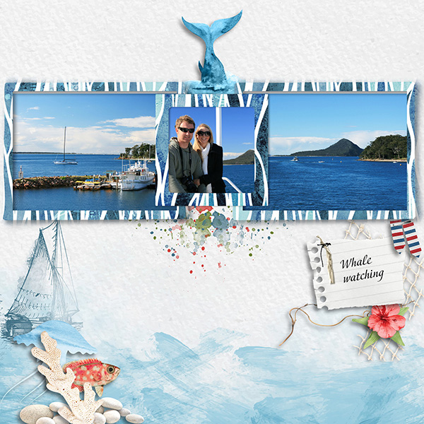 Whale-Watching-.jpg