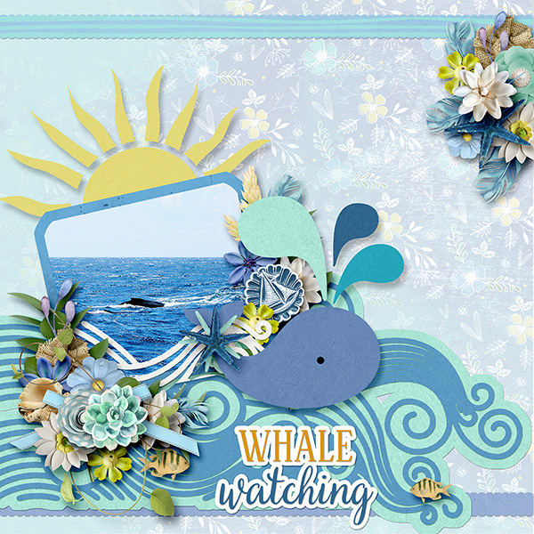 Whale watching