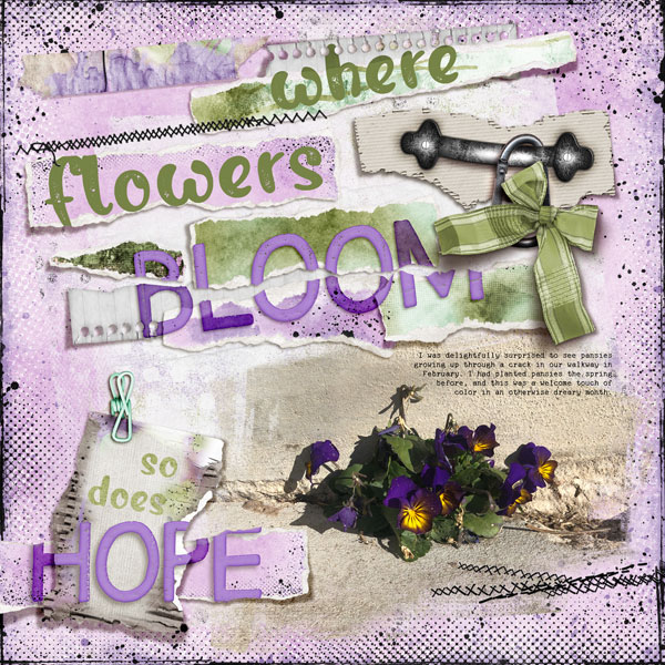 Where Flowers Bloom