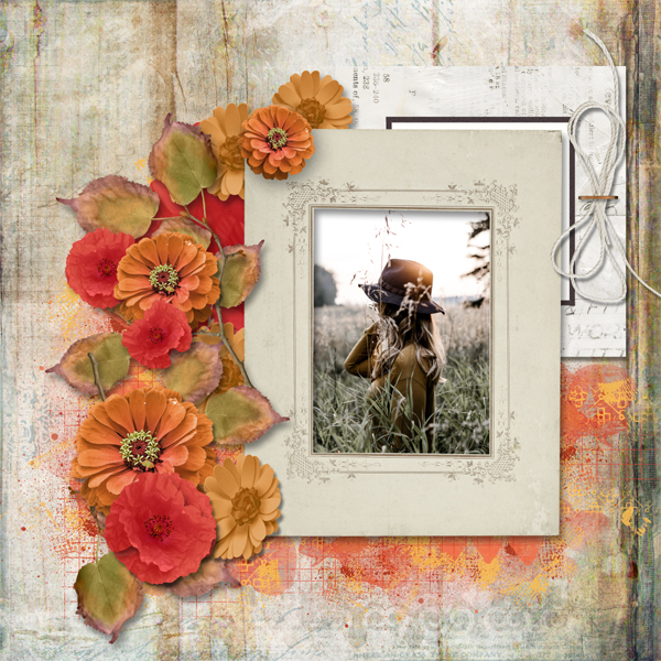 Where Have All the Flowers Gone.jpg