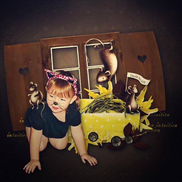 Where_the_cat_is_gone_lalie_25th_june_edit_best