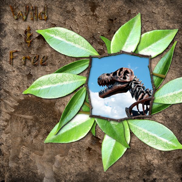 Wild and Free