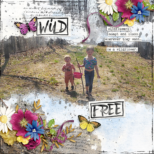 Wild Free