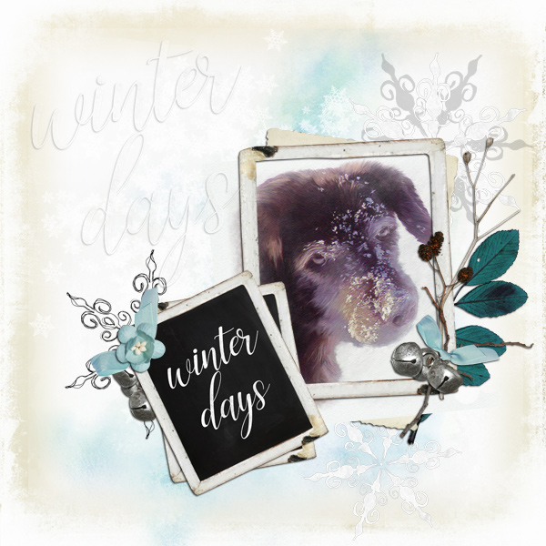 Winter-Days.jpg