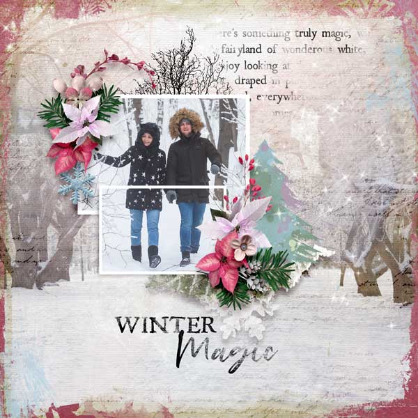 winter-magic-HSA