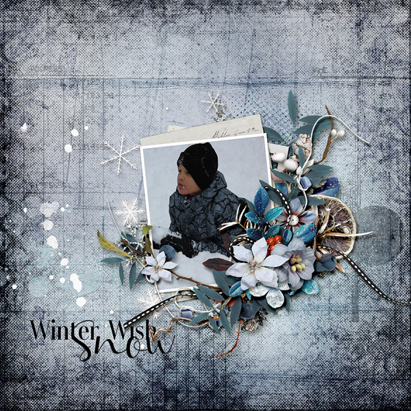 Winter Wish-Snow