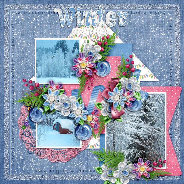 Winter-wonder