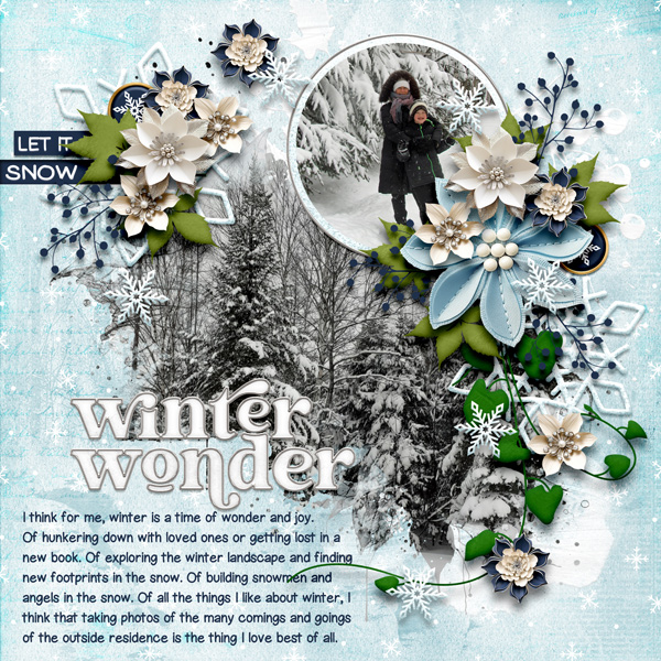 Winter Wonder