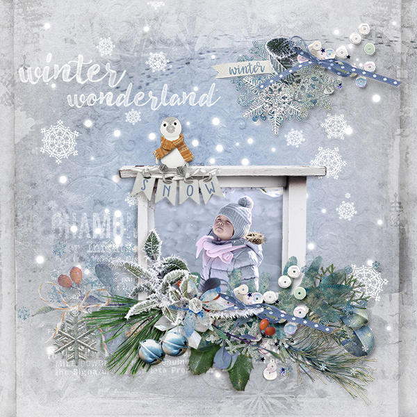 Winter Wonderland