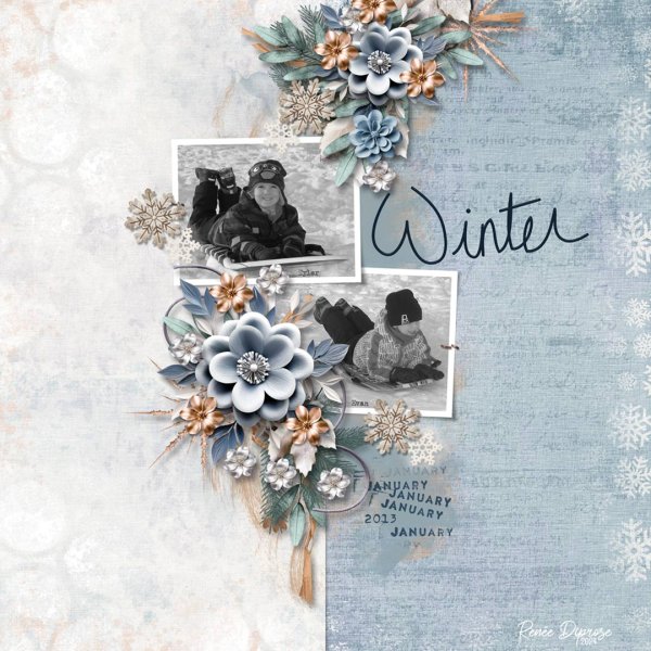 Winter Wonders