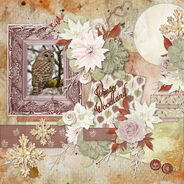 Winter Woodland by Booland Designs