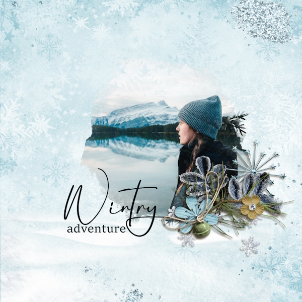 Wintry Adventure