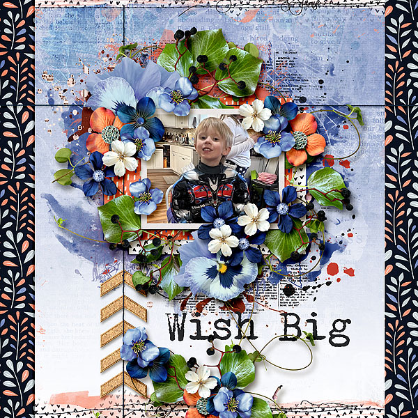 Wish Big