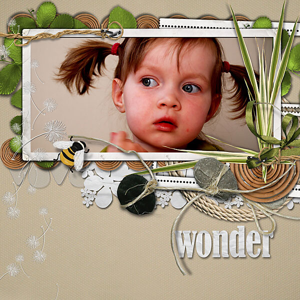 Wonder