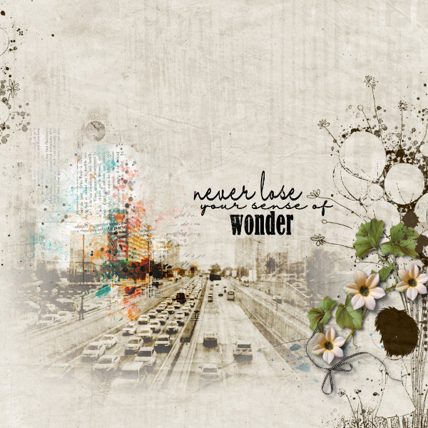 Wonder