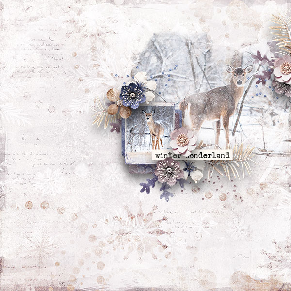 Wonderland