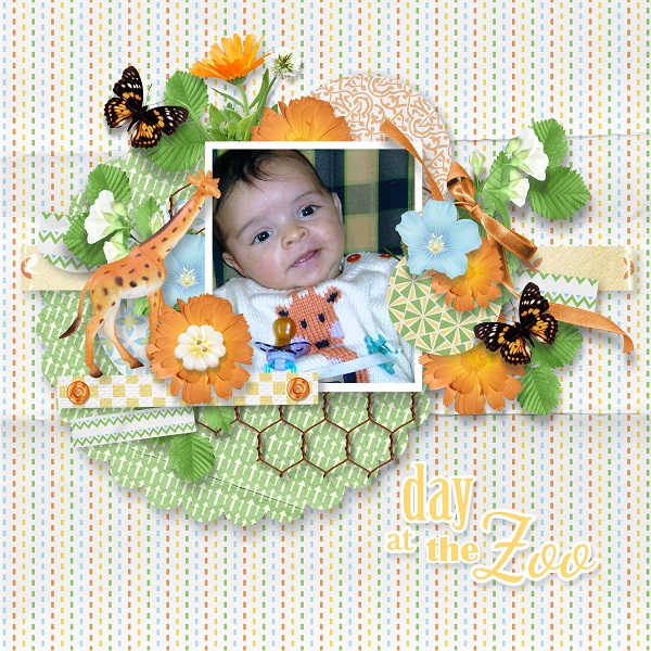 Zoo walking
