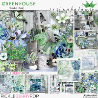 Bundles & Collections