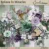 cwx-BelieveInMiracles-kit