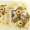 layout for autumn memory