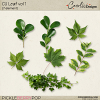 cwx-cu-leaf-vol-1