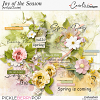 cwx-joy-of-the-season-artsy&cluster