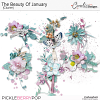 PBP-TheBeautyOfJanuary-cluster