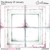 PBP-TheBeautyOfJanuary-edge