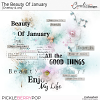 PBP-TheBeautyOfJanuary-ov