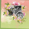 layout for spring dawn