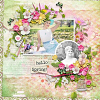 layout for spring dawn