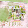 layout for spring dawn