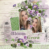 layout for Bloom and Grow